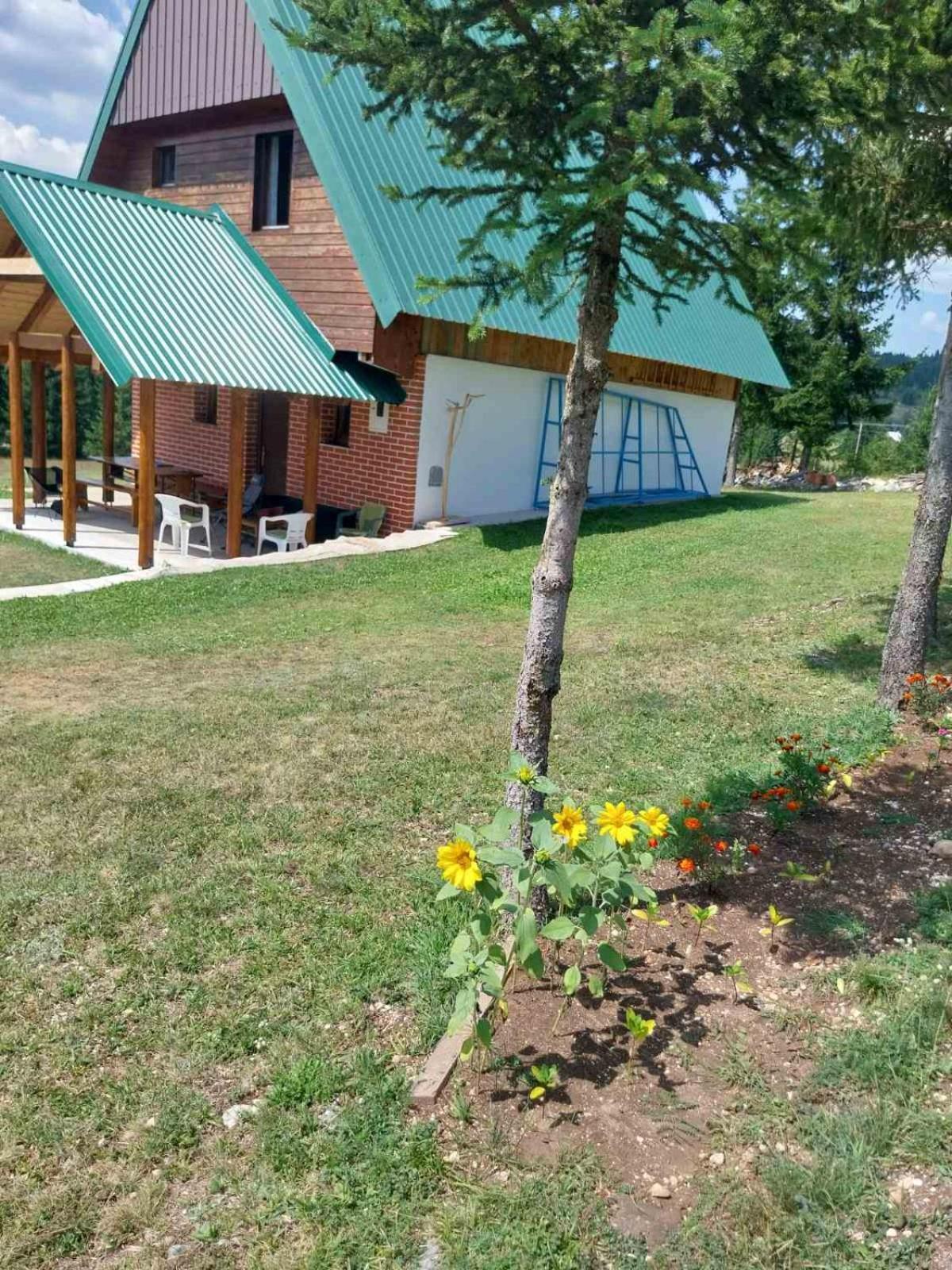 House In Forest ชาเบลียค ภายนอก รูปภาพ